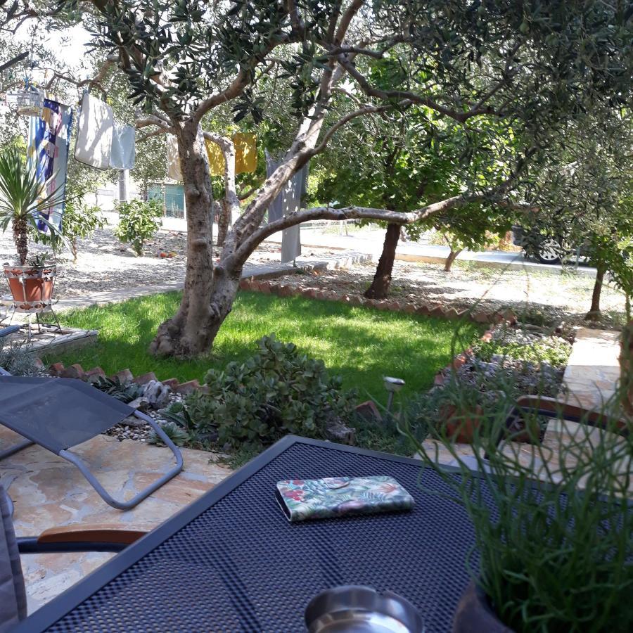 טרוגיר Apartment Mira מראה חיצוני תמונה